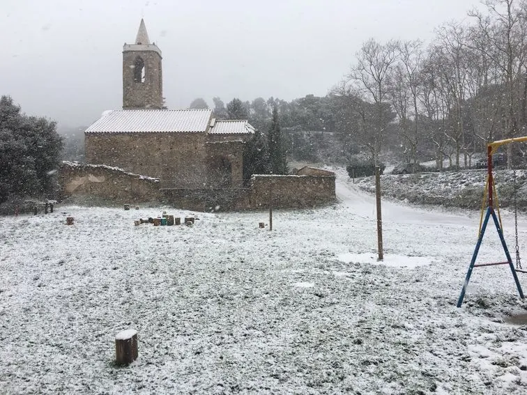 Ambient de cru hivern i neu al Parc de Montnegre-Corredor