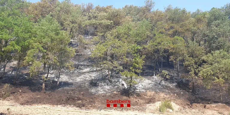 Controlat l'incendi de Castellar de la Ribera