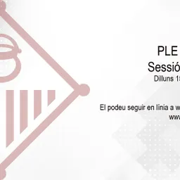 Ple extraordinari 15 d'abril 2024 del 15/4/2024 - episode art