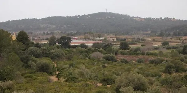 El registre de demandants d’Habitatge de Protecció Oficial a Altafulla no s’actualitza des del 2022