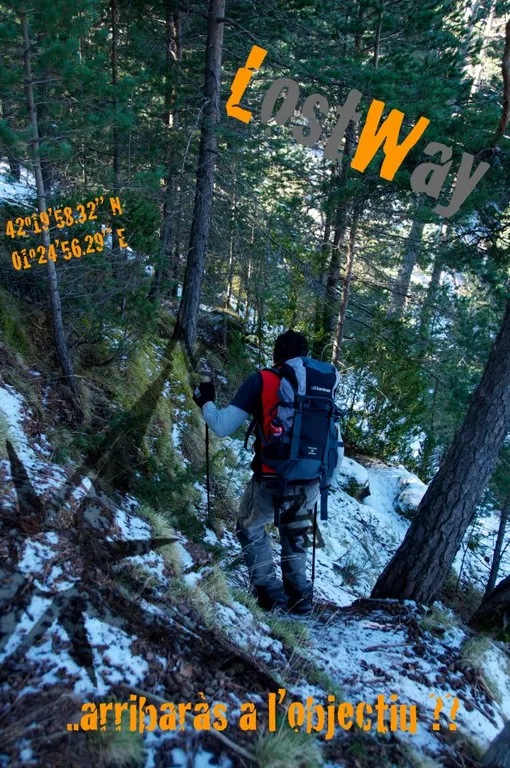 L'Alt Urgell tindrà l'any que ve un parc d'aventura