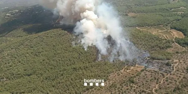 Un incendi a Masllorenç i urbanitzacions pròximes crema 11,5 hectàrees entre el Baix Penedès i l’Alt Camp
