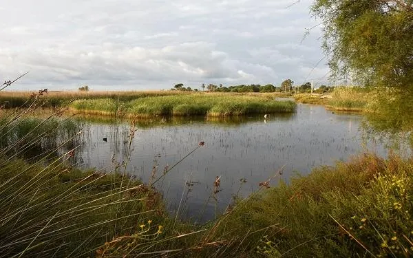 Foto: Ajuntament de Torredembarra - Anna F.