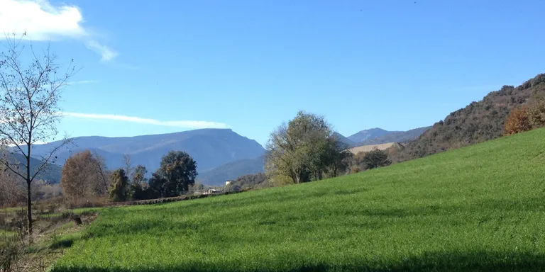 El Consell Comarcal de l'Alt Urgell defensa la protecció dels sòls agraris enfront dels parcs fotovoltaics