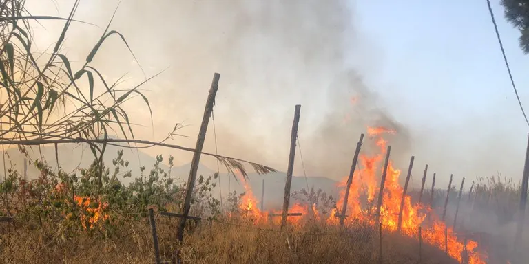 Sufocat l’incendi d’aquest dijous a la tarda en uns camps de conreu