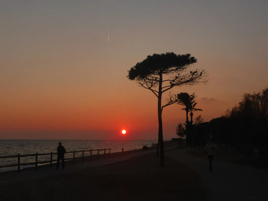 Temps molt estable i temperatures normalitzades