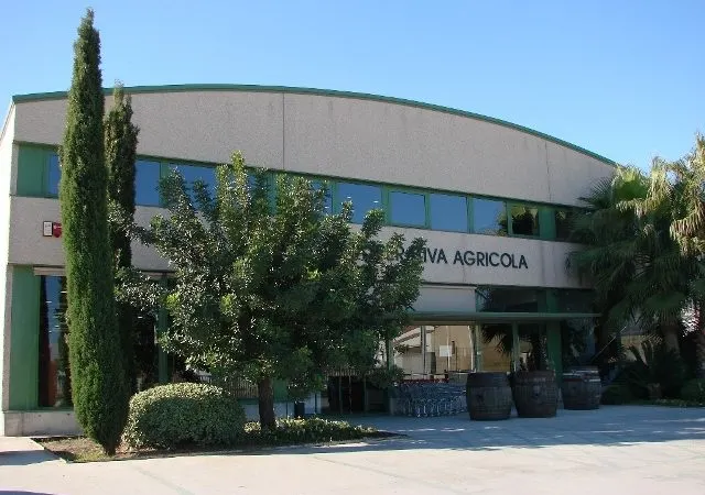Presenten el llibre 1918-2018 L’Agrícola de Vilassar de Mar 100 anys