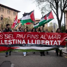 Amics Arbres (especial) - Des del riu fins al mar, Palestina llibertat! 25/7/2024 - episode art