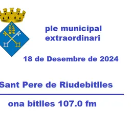 Ple Municipal  Extraordinari del 18 de Desembre de 2024 - episode art