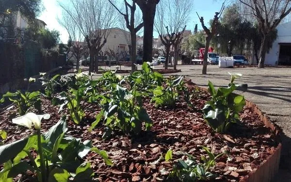 Foto: Altafulla Ràdio