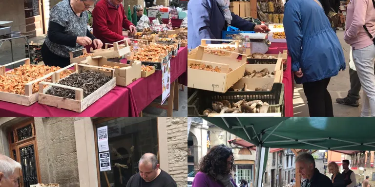 Balanç positiu de la Fira del Bolet malgrat l'anul·lació dels actes d'ahir per la pluja