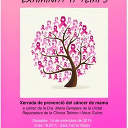 Entrevista a Neus Guirro sobre la xerrada Arrela't - episode art