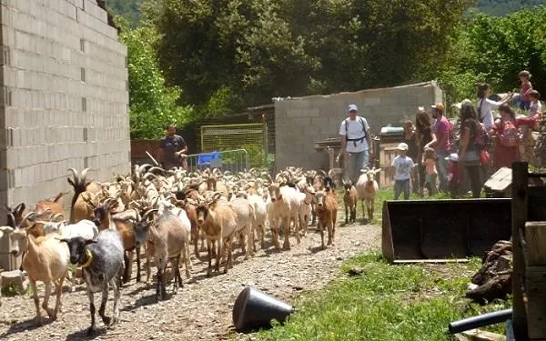 Foto: La Tribu del Gaià