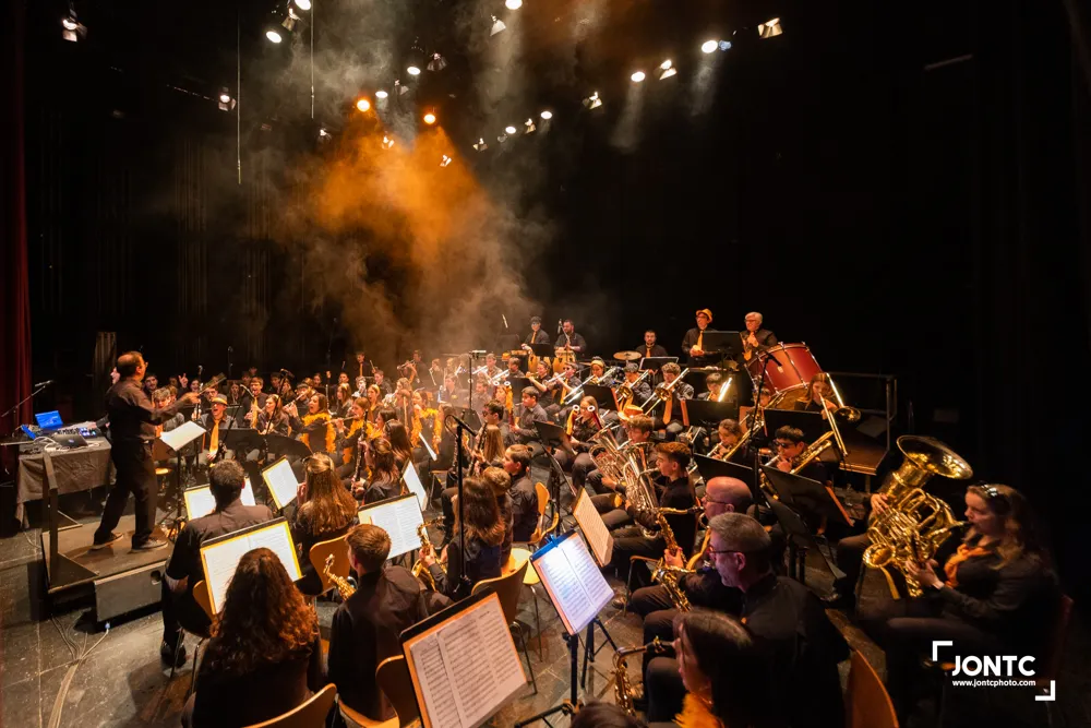 Ple ordinari gener 2019