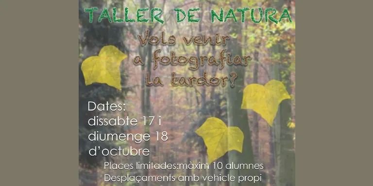 L'Escola d'Art de la Seu d'Urgell organitza un taller de fotografia de natura