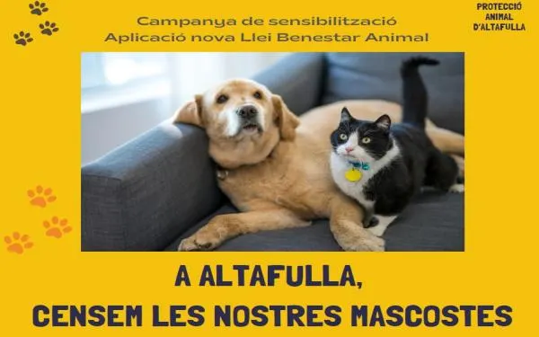 Foto: Ajuntament d'Altafulla