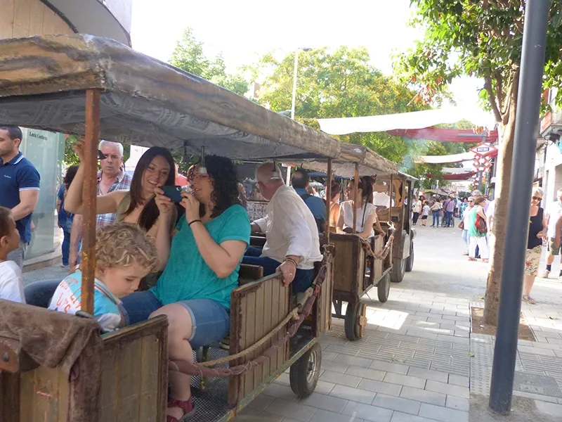 El trenet de Festa Major passeja per l’Illa de Vianats