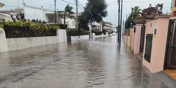 El temporal deixa arbres caiguts, carrers tallats, i afectacions al passeig de Botigues de Mar d’Altafulla