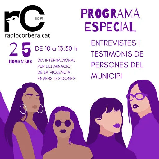 Programa Especial 25N