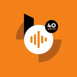 Programa de celebració dels 40 anys de Ràdio Barberà - episode art