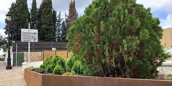Altafulla manté les dues Flors d’Honor de Viles Florides