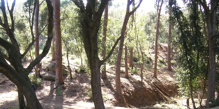 Medi Ambient reforçarà la prevenció d'incendis de cara a aquest estiu