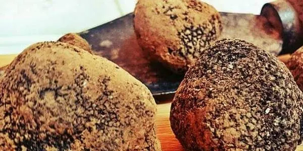 Els productors de tòfona preveuen una collita millor que la de l'any passat gràcies a les darreres pluges