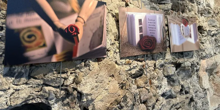 Múltiples mirades de Sant Jordi a la Sala Lluís d'Icart