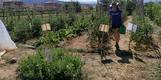 Alba Jussà treballa en la recuperació de varietats tradicionals d'hortalisses i plantes aromàtiques al Pallars