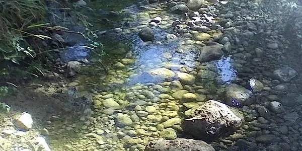 L’Escola de Naturalistes del Gepec organitza una sortida a Vilabella
