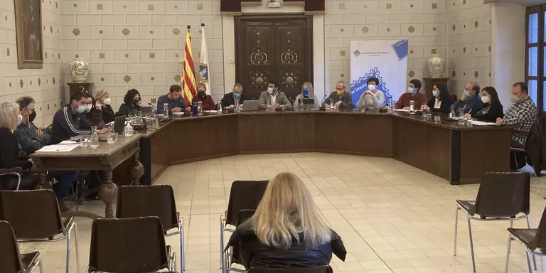 El ple de la Seu aprova la incorporació al pressupost d'una part del romanent del 2021