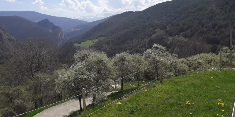 Creen a Solanell una associació per "frenar la desertització de la muntanya"