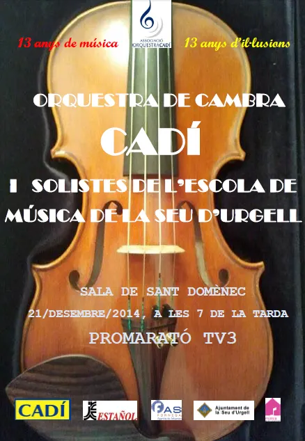 L'Orquestra de Cambra Cadí oferirà diumenge un concert a favor de la Marató de TV3