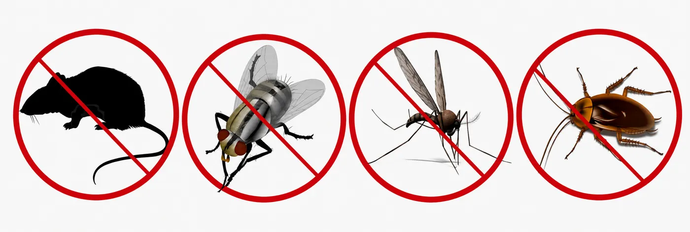 Sant Just prepara una nova campanya de control i prevenció de plagues