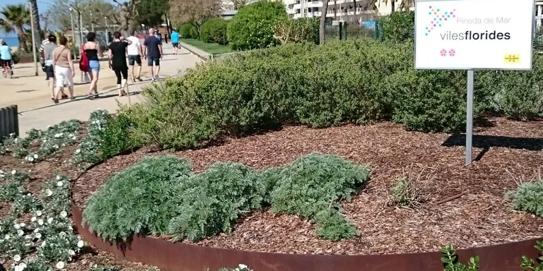 Jordi Masnou: 'Viles Florides ens reconeixen l'aposta per les zones verdes, la sostenibilitat i la vegetació autòctona'