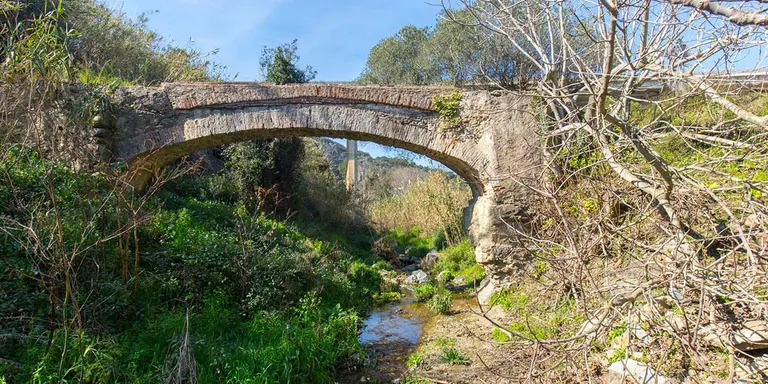 Passejada per la Riera de Pineda dins del projecte 'Parcs i biblioteques...naturalment!'