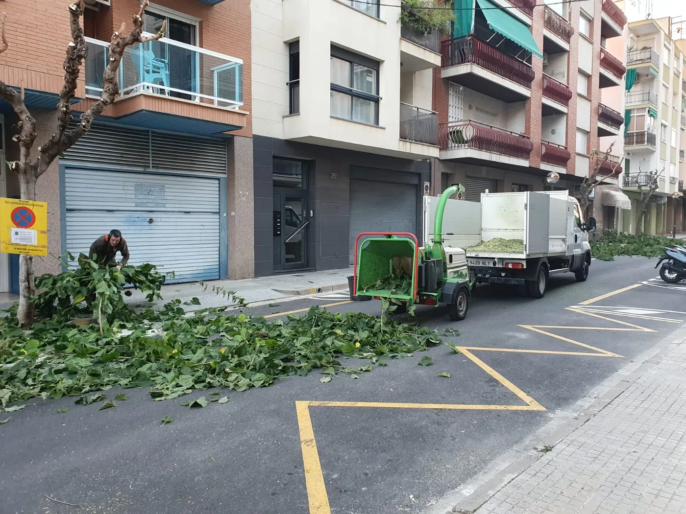 Esquerra Cambrils critica la tala d’arbres dels carrers Colom i València i demanarà l’informe que ho avala