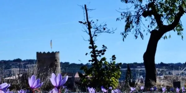 Tot a punt per a la celebració de la VIII Marxa per les Terres del Gaià