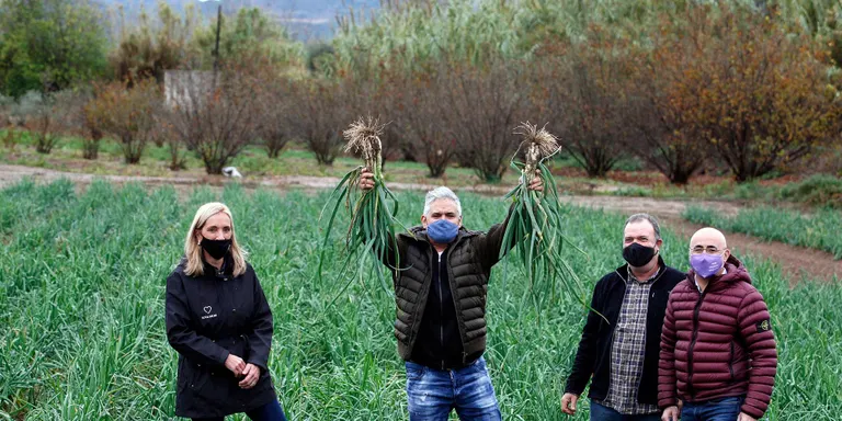L’arrencada del primer calçot dona el tret de sortida a la temporada de calçotades