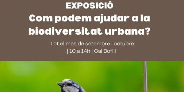 Una exposició a Torredembarra es pregunta ‘Com podem ajudar a la biodiversitat urbana?’