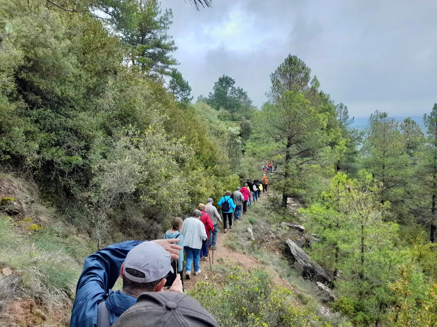 Obertes les inscripcions a una vintena d'activitats per a la gent gran de Solsona