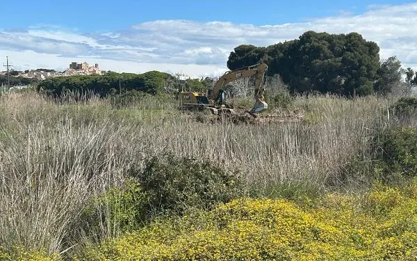 Foto: Associació Mediambiental La Sínia