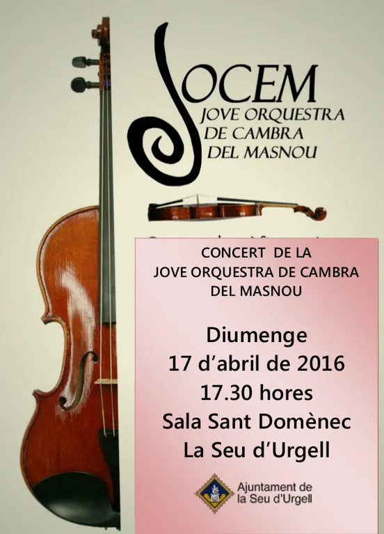 Concert de la Jove Orquestra de Cambra del Masnou a la Seu