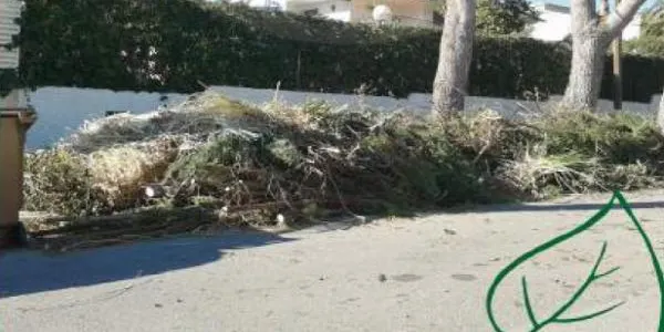 L’Ajuntament de Roda de Berà posa en marxa una prova pilot de la recollida de les restes vegetals porta a porta