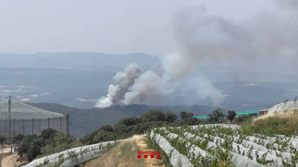 Estabilitzat el foc de Lladurs després de cremar 3 hectàrees i mitja de massa forestal