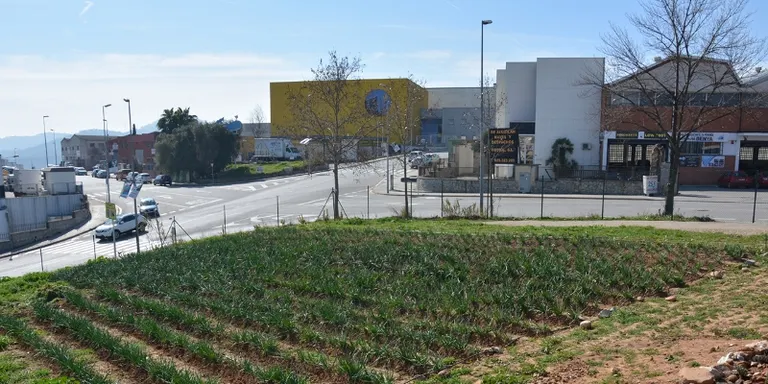 Quatre tallers d'agricultura ecològica al mes de maig als horts municipals de Cova Solera
