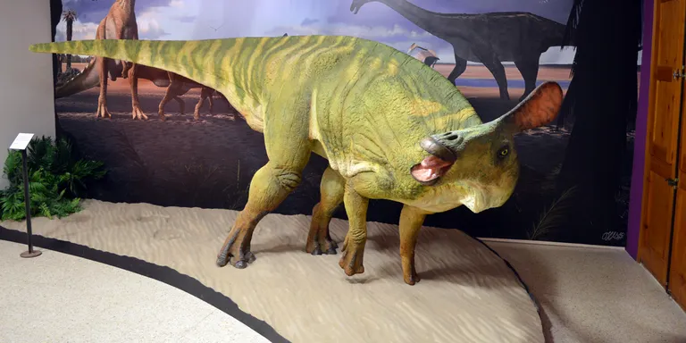 Descrites noves restes fòssils sobre el dinosaure de 'bec d'ànec' propi del Pallars Jussà