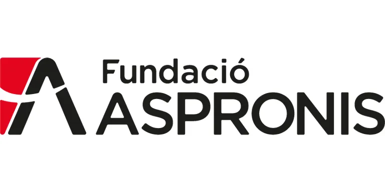 Tossa de Mar encarrega a la Fundació Aspronis pintar carrers i senyalitzacions del municipi