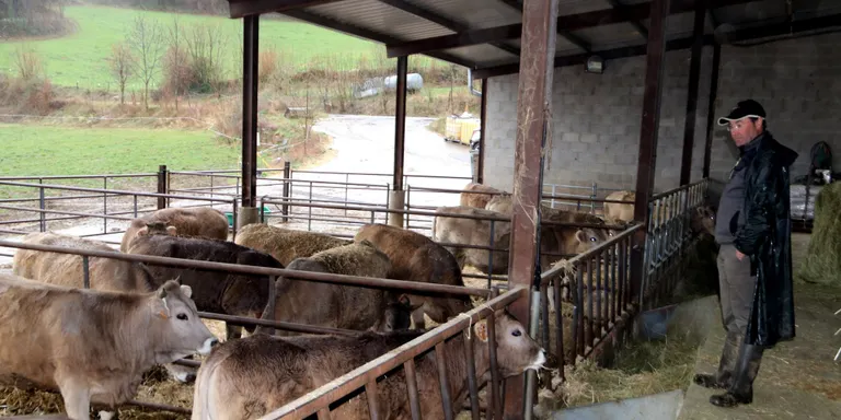 Un ramader del Pallars: "Els pagesos, desgraciadament, no entenen de mesures de confinament"