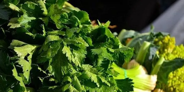 L’Hort de la Sínia d’Altafulla oferirà la cinquena edició del Mercat Agroecològic el 3 de juny
